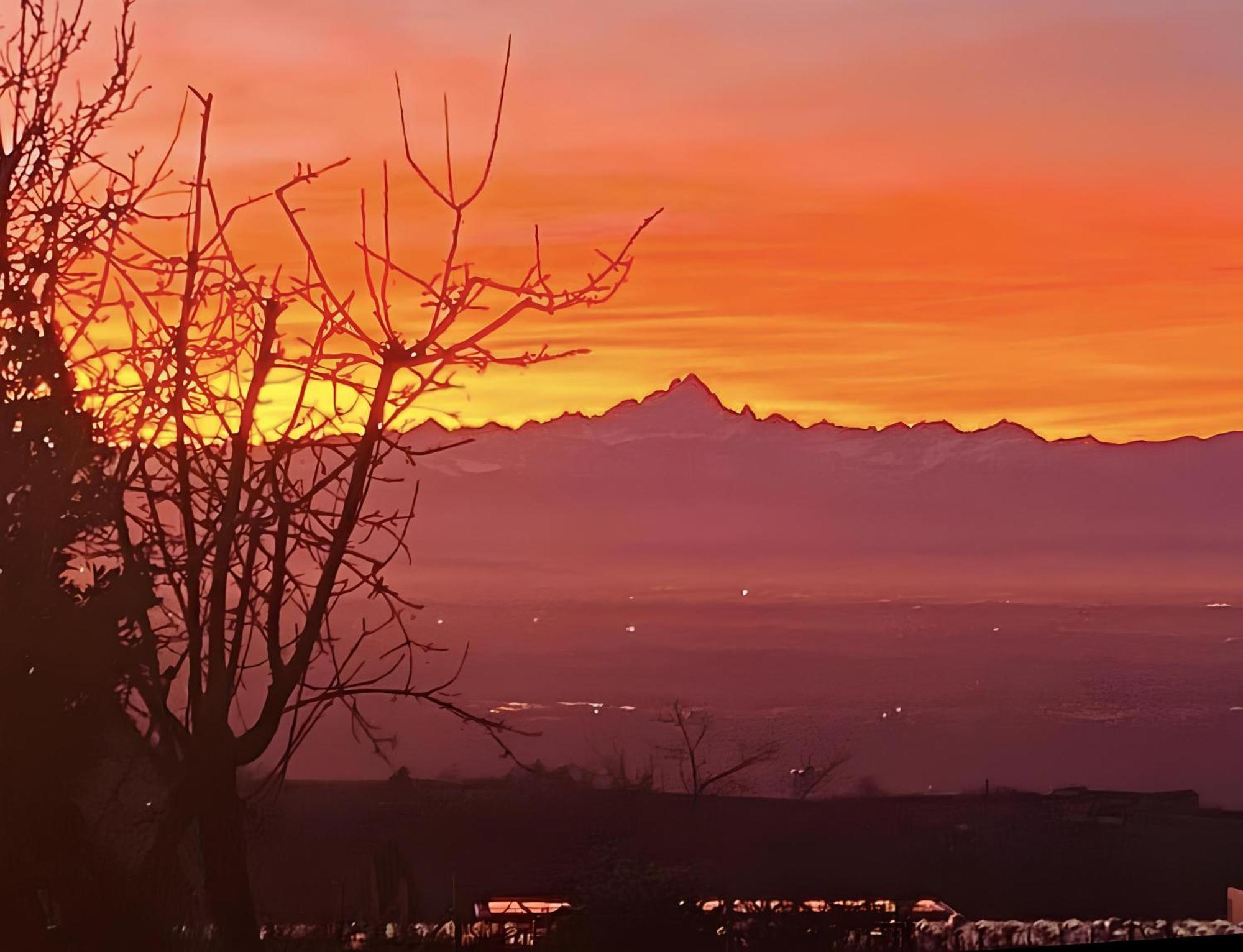 فيلا Just Langhe Casa Barolo نوفيلو المظهر الخارجي الصورة