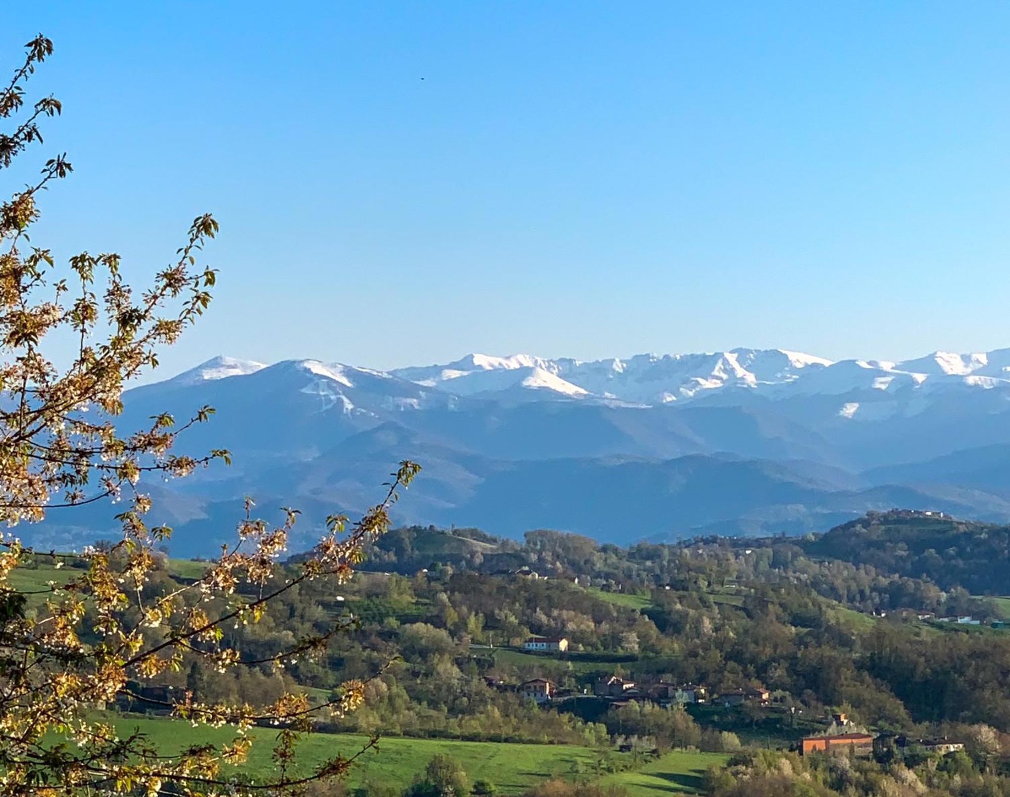 فيلا Just Langhe Casa Barolo نوفيلو المظهر الخارجي الصورة
