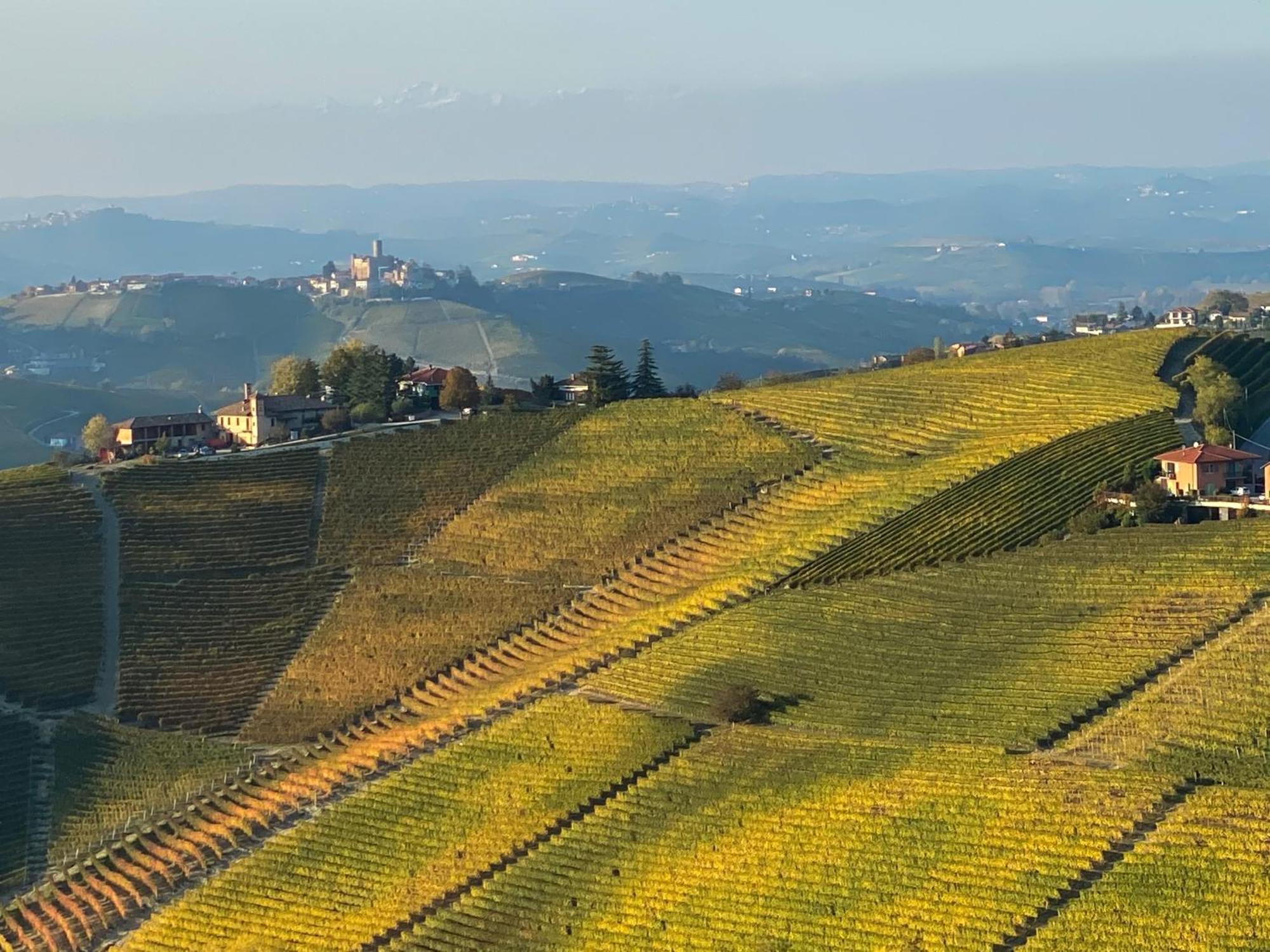 فيلا Just Langhe Casa Barolo نوفيلو المظهر الخارجي الصورة