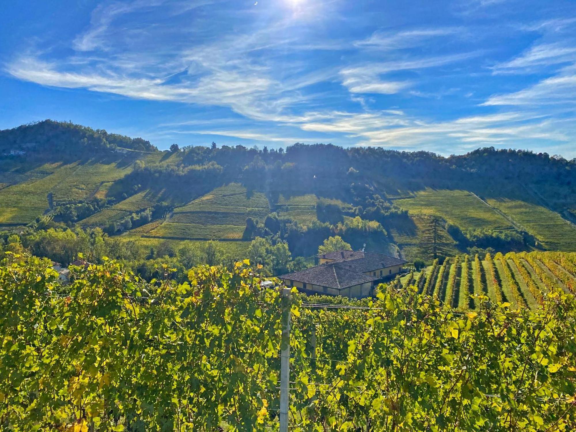 فيلا Just Langhe Casa Barolo نوفيلو المظهر الخارجي الصورة